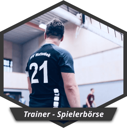 Spieler am Volleyballnetz