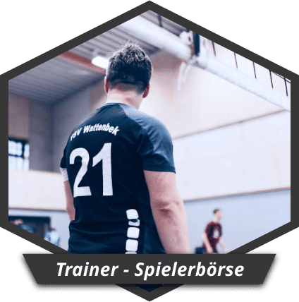 Spieler am Volleyballnetz