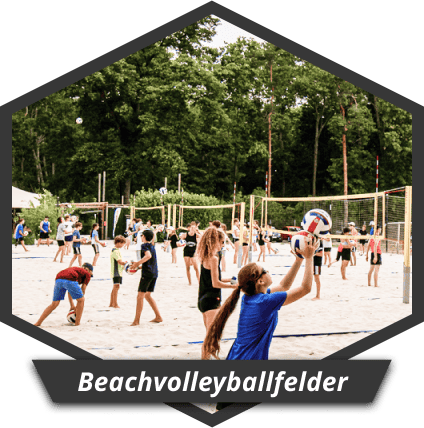 mehrere Beachvolleyballnetze in Benutzung